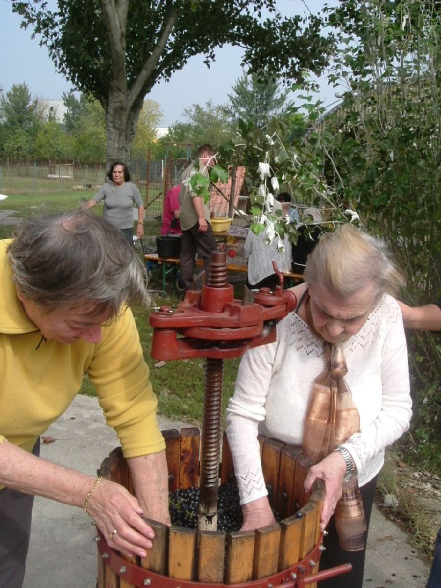 Foto: anziani in fattoria